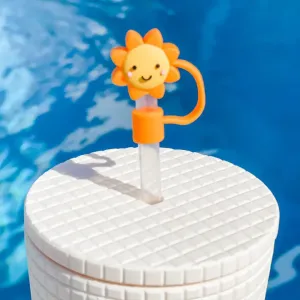 Sun Straw Cover